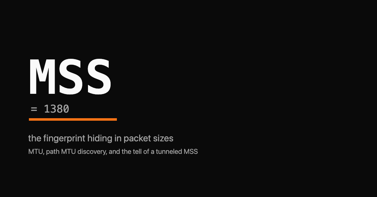 The letters MSS rendered large in monospace with an orange underline, over a faint stack of packet-size brackets