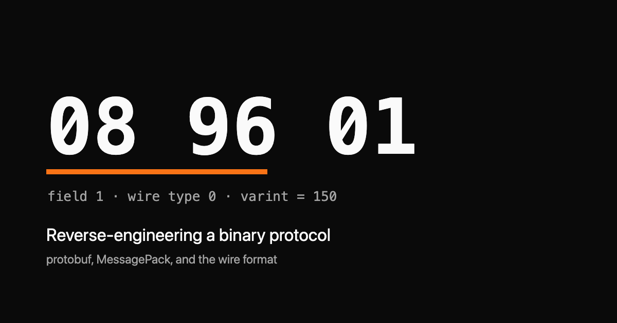 The bytes 08 96 01 in monospace over a dark background with an orange field-tag underline