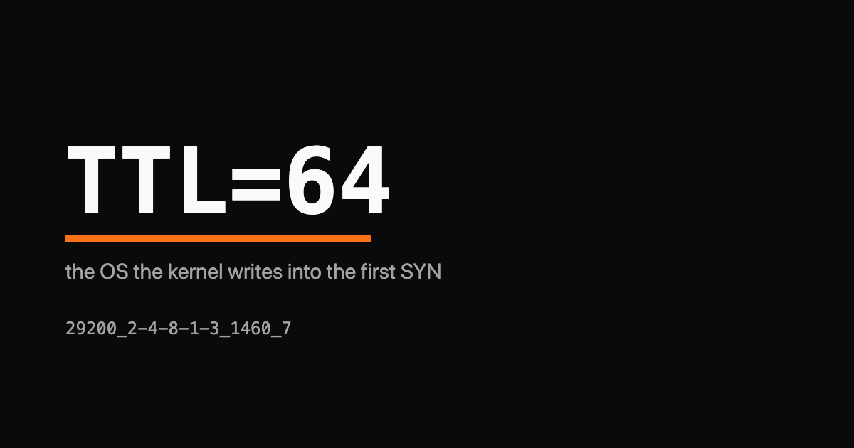 The label TTL=64 as a large monospace wordmark with a single orange underline and a small grey SYN subtitle