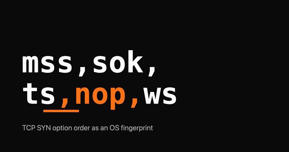 The token mss,sok,ts,nop,ws as a monospace wordmark with a single orange underline under ts and a small grey TCP options subtitle